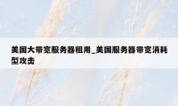 美国大带宽服务器租用_美国服务器带宽消耗型攻击