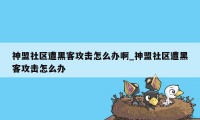 神盟社区遭黑客攻击怎么办啊_神盟社区遭黑客攻击怎么办