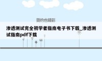 渗透测试完全初学者指南电子书下载_渗透测试指南pdf下载