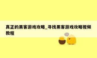 真正的黑客游戏攻略_寻找黑客游戏攻略视频教程