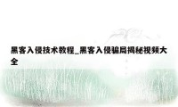 黑客入侵技术教程_黑客入侵骗局揭秘视频大全