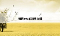 暗网101的简单介绍