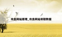 攻击网站原理_攻击网站读取数据