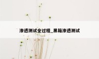渗透测试全过程_黑箱渗透测试