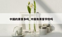 中国的黑客多吗_中国有黑客学校吗