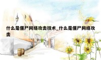 什么是僵尸网络攻击技术_什么是僵尸网络攻击