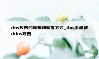 dns攻击的原理和防范方式_dns系统被ddos攻击