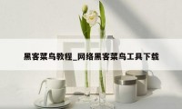黑客菜鸟教程_网络黑客菜鸟工具下载