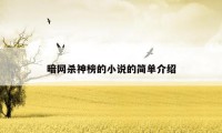 暗网杀神榜的小说的简单介绍