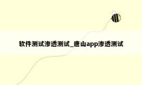软件测试渗透测试_唐山app渗透测试