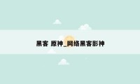 黑客 原神_网络黑客影神