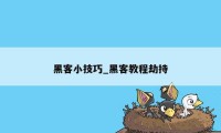 黑客小技巧_黑客教程劫持