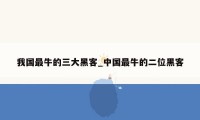 我国最牛的三大黑客_中国最牛的二位黑客