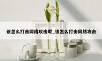 该怎么打击网络攻击呢_该怎么打击网络攻击