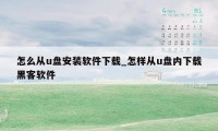 怎么从u盘安装软件下载_怎样从u盘内下载黑客软件