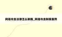 网络攻击法律怎么制裁_网络攻击制裁案例