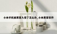小米手机被黑客入侵了怎么办_小米黑客软件