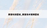 黑客科技壁纸_黑客技术视频壁纸