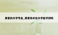 黑客的大学专业_黑客技术在大学能学到吗