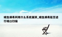 蠕虫病毒利用什么系统漏洞_蠕虫病毒能否进行端口扫描