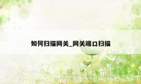 如何扫描网关_网关端口扫描
