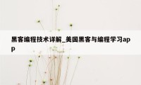 黑客编程技术详解_美国黑客与编程学习app