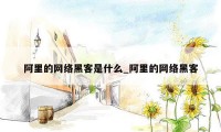 阿里的网络黑客是什么_阿里的网络黑客