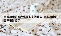 黑客攻击的国产电影名字叫什么_黑客攻击的国产电影名字