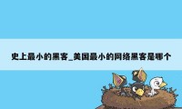 史上最小的黑客_美国最小的网络黑客是哪个