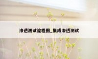 渗透测试流程图_集成渗透测试