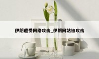 伊朗遭受网络攻击_伊朗网站被攻击
