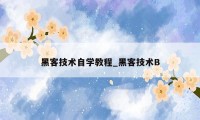 黑客技术自学教程_黑客技术B