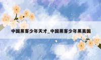 中国黑客少年天才_中国黑客少年黑美国