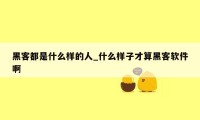 黑客都是什么样的人_什么样子才算黑客软件啊