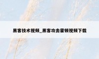 黑客技术视频_黑客攻击霍顿视频下载