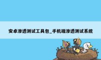 安卓渗透测试工具包_手机端渗透测试系统