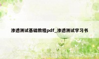 渗透测试基础教程pdf_渗透测试学习书
