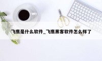 飞鹰是什么软件_飞鹰黑客软件怎么样了
