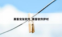 黑客交友软件_黑客软件伊对