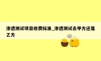 渗透测试项目收费标准_渗透测试去甲方还是乙方