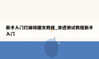 新手入门打麻将图文教程_渗透测试教程新手入门