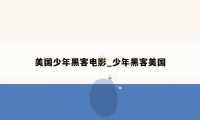 美国少年黑客电影_少年黑客美国