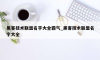 黑客技术联盟名字大全霸气_黑客技术联盟名字大全