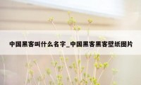 中国黑客叫什么名字_中国黑客黑客壁纸图片