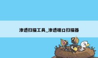 渗透扫描工具_渗透端口扫描器