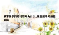 黑客属于网络犯罪吗为什么_黑客属于网络犯罪吗