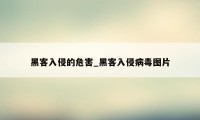 黑客入侵的危害_黑客入侵病毒图片