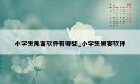 小学生黑客软件有哪些_小学生黑客软件