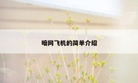 暗网飞机的简单介绍