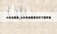 小白当黑客_小白养成黑客软件下载苹果